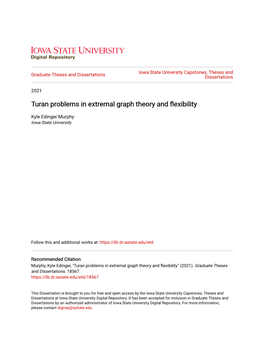 Turan Problems in Extremal Graph Theory and Flexibility