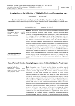 Investigations on the Cultivation of Wild Edible Mushroom Macrolepiota Procera