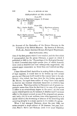 1896 Charaxes WSPEC137.Pdf