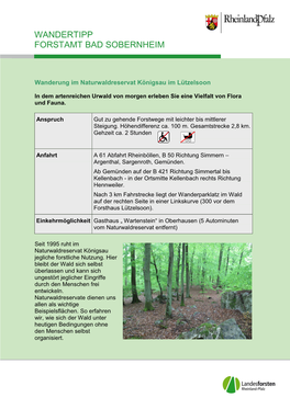 Wandertipp Forstamt Bad Sobernheim