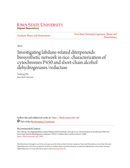 Investigating Labdane-Related Diterpenoids Biosynthetic Network In