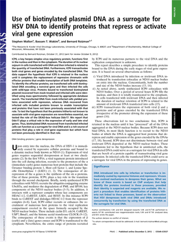 Use of Biotinylated Plasmid DNA As a Surrogate for HSV DNA to Identify