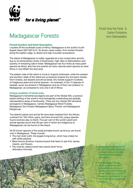Madagascar Forests from Deforestation