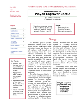 Pinyon Engraver Beetle US Forest Service Ips Confusus Leconte (Coleoptera: Scolytidae)