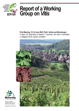 Report of a Working Group on Vitis: First Meeting