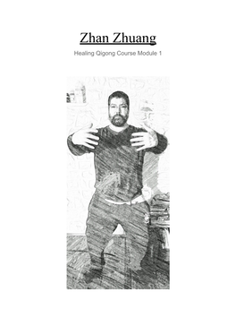 Zhan Zhuang Healing Qigong Course Module 1