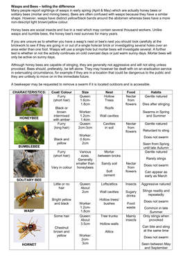 Wasps and Bees – Telling the Difference Many People Report