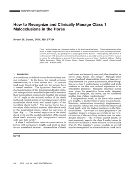 How to Recognize and Clinically Manage Class 1 Malocclusions in the Horse