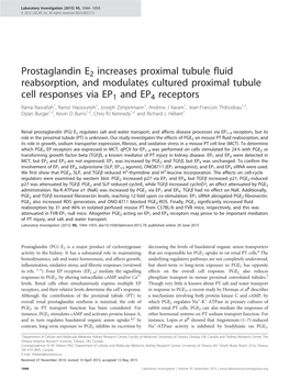 Prostaglandin E2 Increases Proximal Tubule Fluid Reabsorption