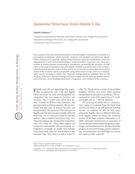 Axoneme Structure from Motile Cilia