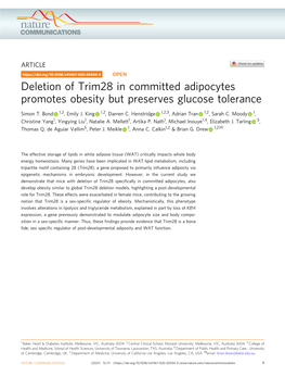 Deletion of Trim28 in Committed Adipocytes Promotes Obesity but Preserves Glucose Tolerance
