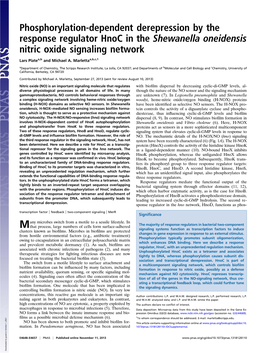 Phosphorylation-Dependent Derepression by the Response Regulator Hnoc in the Shewanella Oneidensis Nitric Oxide Signaling Network