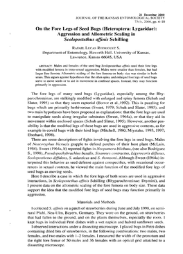 On the Fore Legs of Seed Bugs (Heteroptera: Lygaeidae): Aggression and Allometric Scaling in Scolopostethus Affinis Schilling