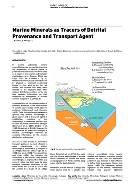 Marine Minerals As Tracers of Detrital Provenance and Transport Agent / �ATHAL�E �A�EL �