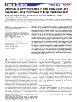 ADAM23 Is Downregulated in Side Population and Suppresses Lung Metastasis of Lung Carcinoma Cells