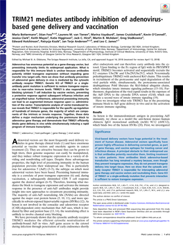 TRIM21 Mediates Antibody Inhibition of Adenovirus-Based Gene Delivery