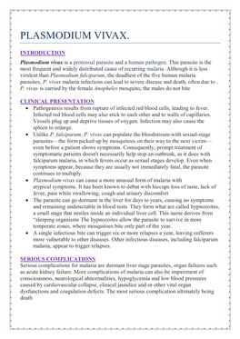 Plasmodium Vivax