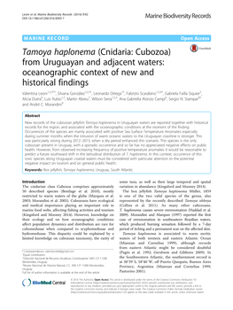 Tamoya Haplonema (Cnidaria: Cubozoa) from Uruguayan And