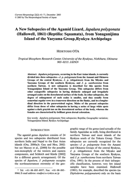 A New Subspecies of the Agamid Lizard, Japalura Polygonata (Hallowell, 1861) (Reptilia: Squamata), from Yonagunijima Island of the Yaeyama Group, Ryukyu Archipelago