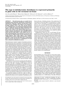 The Type 2 Iodothyronine Deiodinase Is Expressed Primarily in Glial Cells in the Neonatal Rat Brain