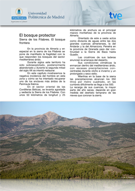 El Bosque Protector Almería