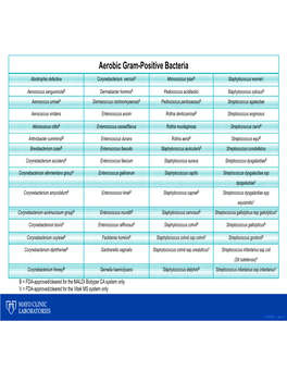 Aerobic Gram-Positive Bacteria