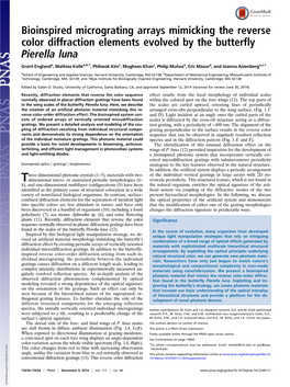 Bioinspired Micrograting Arrays Mimicking the Reverse Color Diffraction Elements Evolved by the Butterfly Pierella Luna