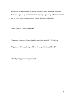 Morphological Conservatism in the Foreleg Structure of Cicada Hatchlings, Novicicada Burmanica N