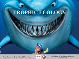 Trophic Ecology