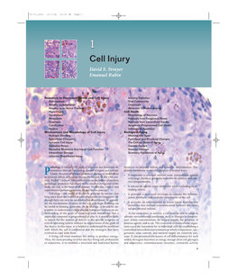 Cell Injury David S