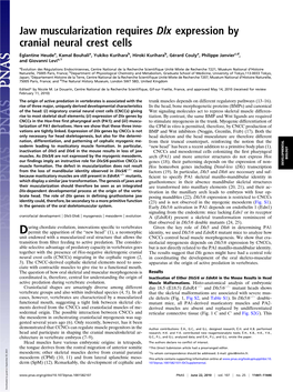 Jaw Muscularization Requires Dlx Expression by Cranial Neural Crest Cells