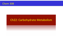 Ch22: Carbohydrate Metabolism Catabolism Overview Diges�On of Carbohydrates Villi of Small Intes�Ne [Handout] Catabolism Flow Chart