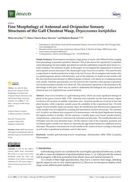 Fine Morphology of Antennal and Ovipositor Sensory Structures of the Gall Chestnut Wasp, Dryocosmus Kuriphilus