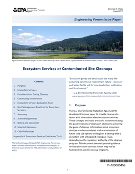 Ecosystem Services at Contaminated Site Cleanups