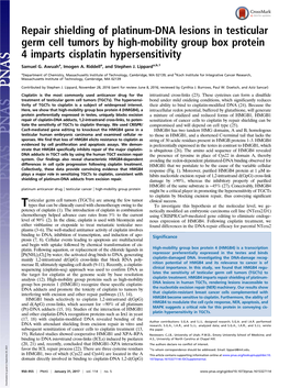 Repair Shielding of Platinum-DNA Lesions in Testicular Germ Cell Tumors by High-Mobility Group Box Protein 4 Imparts Cisplatin Hypersensitivity