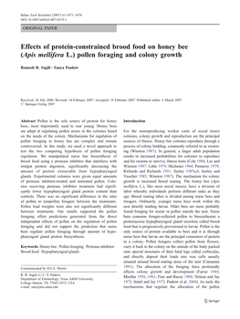 Effects of Protein-Constrained Brood Food on Honey Bee (Apis Mellifera L.) Pollen Foraging and Colony Growth