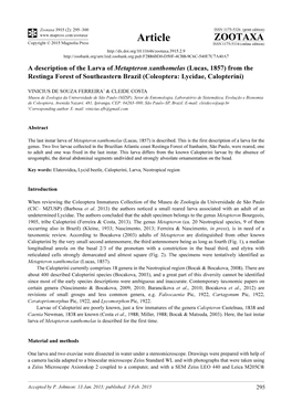 A Description of the Larva of Metapteron Xanthomelas (Lucas, 1857) from the Restinga Forest of Southeastern Brazil (Coleoptera: Lycidae, Calopterini)