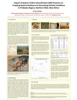 Impact of SRI Practices in Cropping