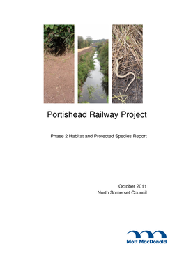 Portishead Railway Project