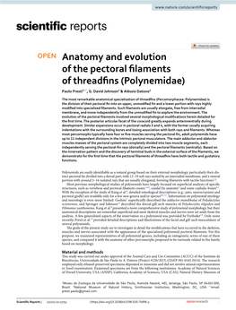 Anatomy and Evolution of the Pectoral Filaments of Threadfins (Polynemidae)