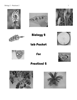 Protista and Fungi