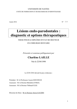 Lésions Endo-Parodontales : Diagnostic Et Options Thérapeutiques