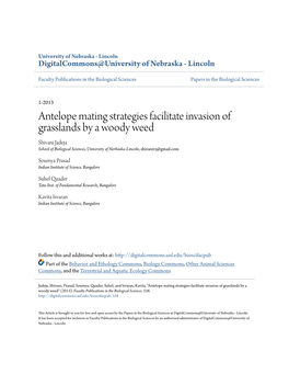 Antelope Mating Strategies Facilitate Invasion of Grasslands by a Woody Weed