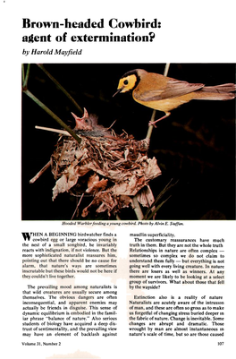 Brown-Headed Cowbird: Agent of Extermination?