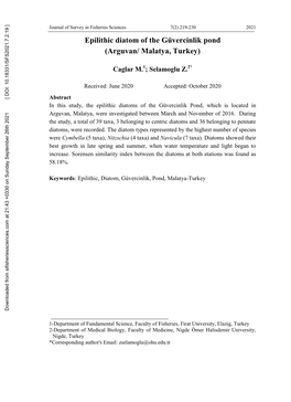 Epilithic Diatom of the Güvercinlik Pond (Arguvan/ Malatya, Turkey)