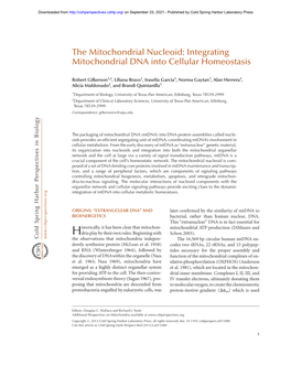 The Mitochondrial Nucleoid: Integrating Mitochondrial DNA Into Cellular Homeostasis