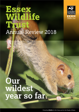 Annual Review 2018