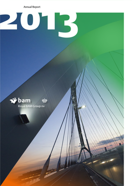 Annual Report 2013