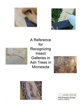 A Reference for Recognizing Insect Galleries in Ash Trees in Minnesota