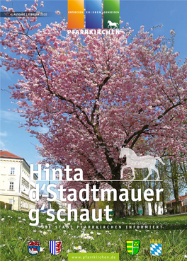 Hinta D'stadtmauer G'schaut